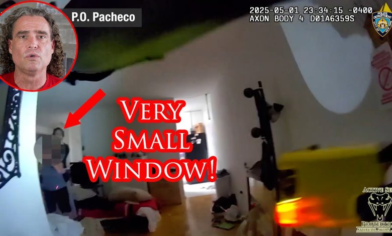 NYPD Officer Uses Fantastic Marksmanship to End Hostage Situation