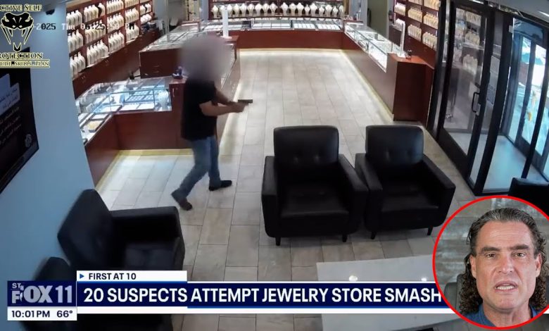 Was This Warning Shot Smart?