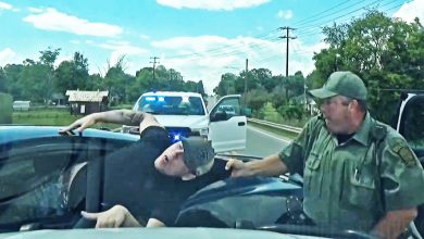 Reckless Driver Yanked Out of Car After Swerving at Deputy During Chase
