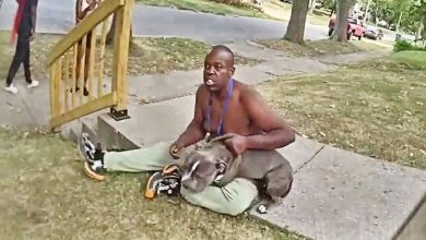 Springfield Police Struggle With Suspect Accused Of Animal Cruelty