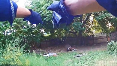 Rochester Police Officer Shoots Suspect Who Refused to Stop Pistol-Whipping a Man