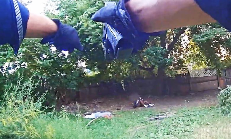 Rochester Police Officer Shoots Suspect Who Refused to Stop Pistol-Whipping a Man