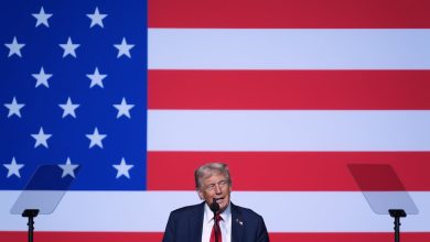 Trump suggests using US cities as ‘training grounds’ for military