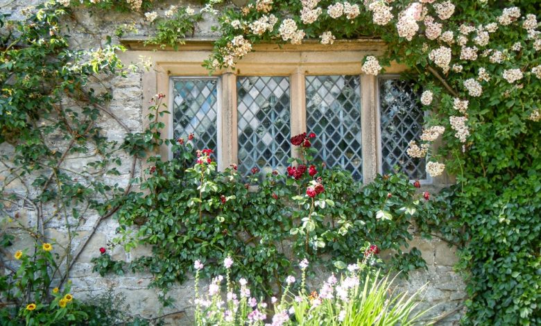 Best Free and Cheap Ways to Fortify a Suburban Home – Survivopedia