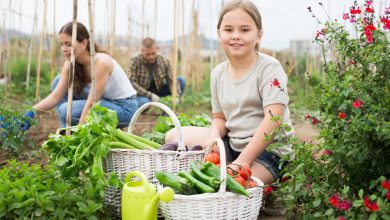 Raising Strong Kids in a Weak Culture – Survivopedia
