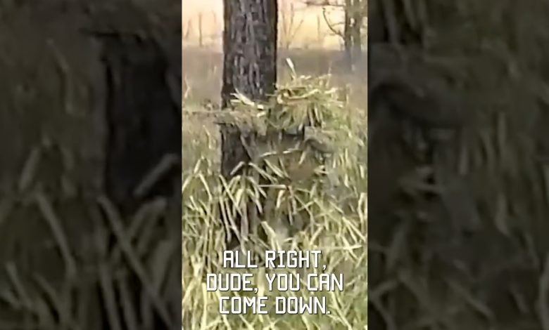 Greatest military camoflauge: sniper stalk training, 1994 #shorts #vhs