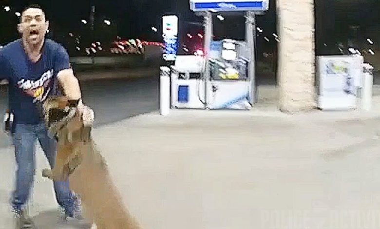 Police K9 Takes Down Gunman Accused Of Las Vegas Shooting Spree