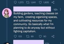 Economics and the Infantilization of Culture
