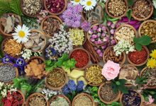 What to Grow, Dry, and Store Now – Survivopedia