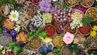 What to Grow, Dry, and Store Now – Survivopedia