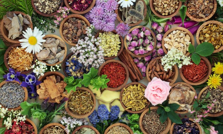 What to Grow, Dry, and Store Now – Survivopedia What to Grow, Dry, and Store Now – Survivopedia