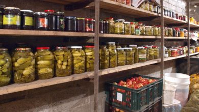 DIY Cold Cellars for Hot Climates – Survivopedia DIY Cold Cellars for Hot Climates – Survivopedia