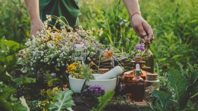 How to Grow a Survival Medicine Garden – Survivopedia