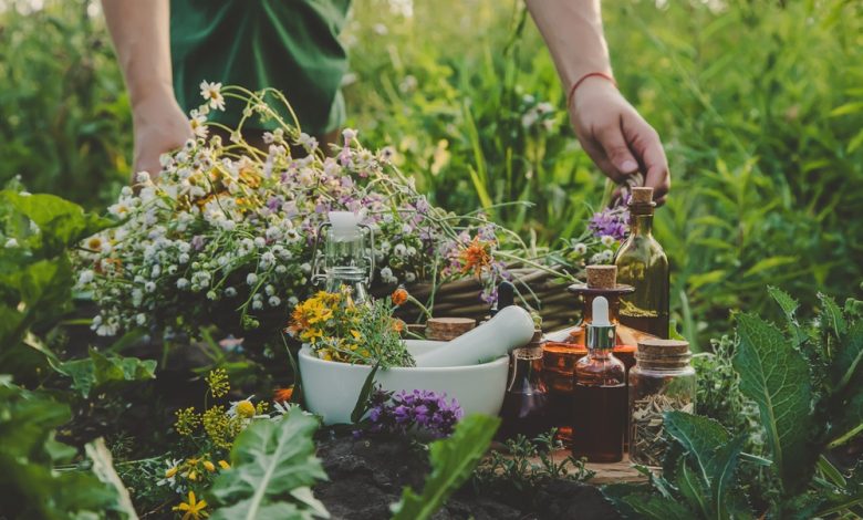 How to Grow a Survival Medicine Garden – Survivopedia