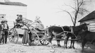 Would Pioneer Tactics Still Work If SHTF Today? – Survivopedia