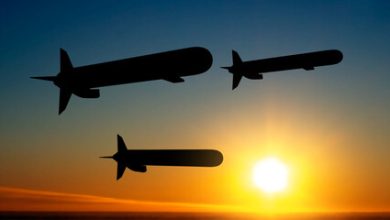 Trump Says The U.S. “Needs” Tomahawk Missiles