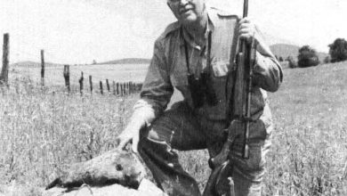 Townsend Whelen’s Single-Shot Rifles – Gun Digest