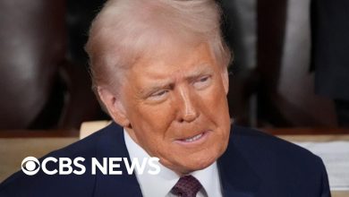“No Kings” Protests Sweep Nation as Trump Administration Faces Mass Opposition