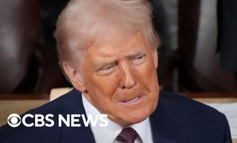 “No Kings” Protests Sweep Nation as Trump Administration Faces Mass Opposition “No Kings” Protests Sweep Nation as Trump Administration Faces Mass Opposition