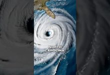 What is prepping? #shorts #survival #specialforces #disaster