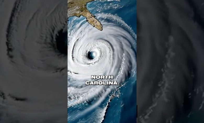 What is prepping? #shorts #survival #specialforces #disaster