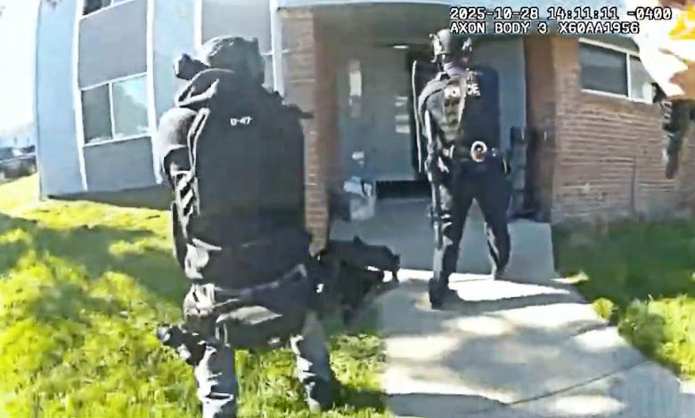 Amherst Officers Shoot Woman Who Charged With Knife