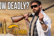 How Deadly Is 17 HMR? (Super Small Varmint Round)