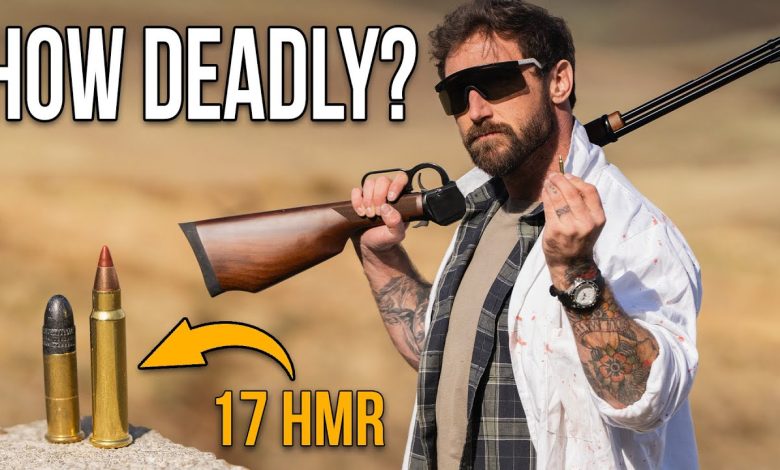 How Deadly Is 17 HMR? (Super Small Varmint Round)