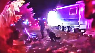 K9 Igo Ends Suspect’s Escape Attempt Instantly