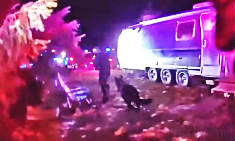 K9 Igo Ends Suspect’s Escape Attempt Instantly