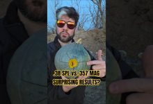 When .38 spl BEATS .357 mag 😬 (choose your bullets accordingly) #357 #38 #wheelgun