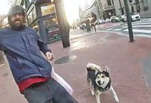 Off-Leash Dog And Owner Trigger Police Shooting