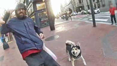 Off-Leash Dog And Owner Trigger Police Shooting