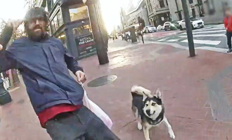 Off-Leash Dog And Owner Trigger Police Shooting