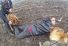 K9 Duo Brings Down Kenosha Shooting Suspect in a Muddy Field