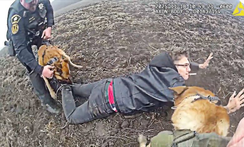 K9 Duo Brings Down Kenosha Shooting Suspect in a Muddy Field