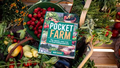 How I Finally Became Food Independent – Survivopedia How I Finally Became Food Independent – Survivopedia