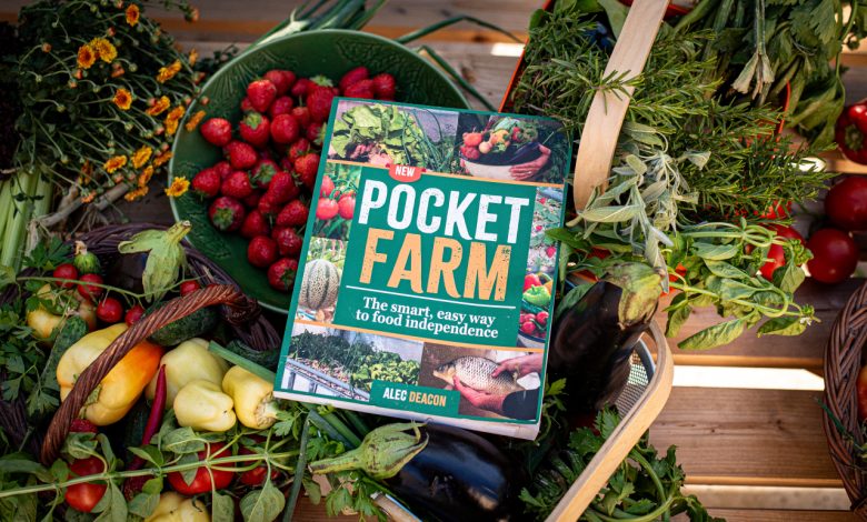 How I Finally Became Food Independent – Survivopedia