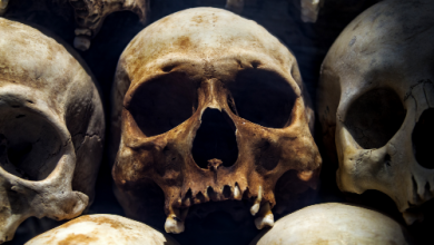 Almost 100 Palestinian Prisoners Have Died In Israel’s Custody