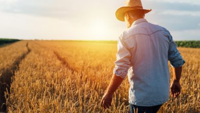 What Homesteading Teaches Us About God and Grit – Survivopedia