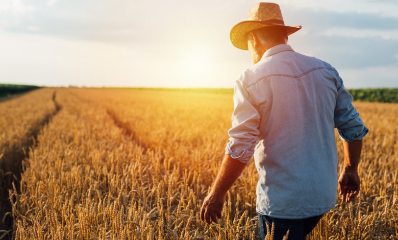 What Homesteading Teaches Us About God and Grit – Survivopedia