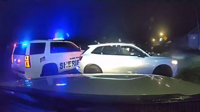 Woman Flees In Stolen Car Until Grappler Stops Her