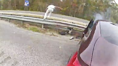 Deputies Chase Interpol Fugitive Who Fled From Traffic Stop and Stole Vehicle Deputies Chase Interpol Fugitive Who Fled From Traffic Stop and Stole Vehicle