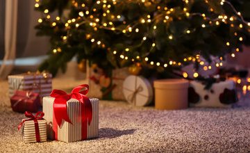 This Is Not a Christmas Story—But Maybe It Should Be