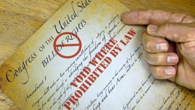 The Constitution as a Weak Reed The Constitution as a Weak Reed