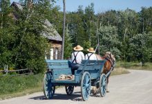 How Worldviews Shaped Their Survival – Survivopedia