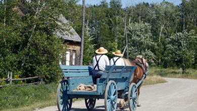 How Worldviews Shaped Their Survival – Survivopedia How Worldviews Shaped Their Survival – Survivopedia