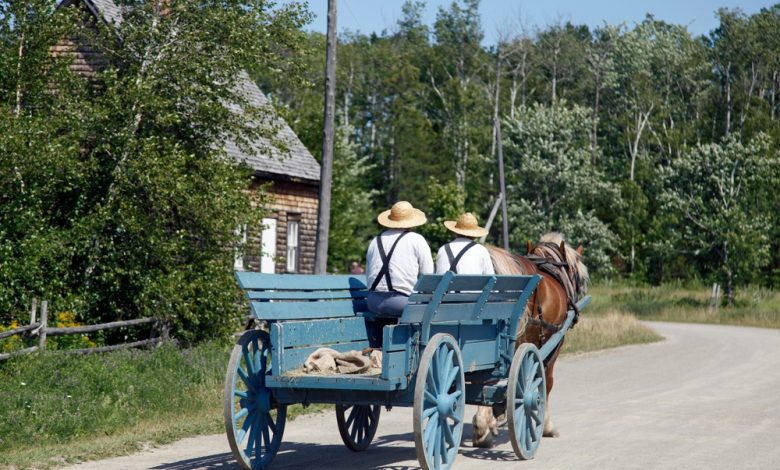 How Worldviews Shaped Their Survival – Survivopedia How Worldviews Shaped Their Survival – Survivopedia