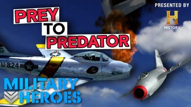 Elaborate Bait and Switch Sting | Dogfights