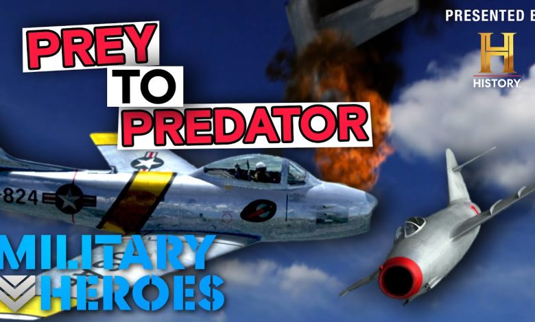 Elaborate Bait and Switch Sting | Dogfights